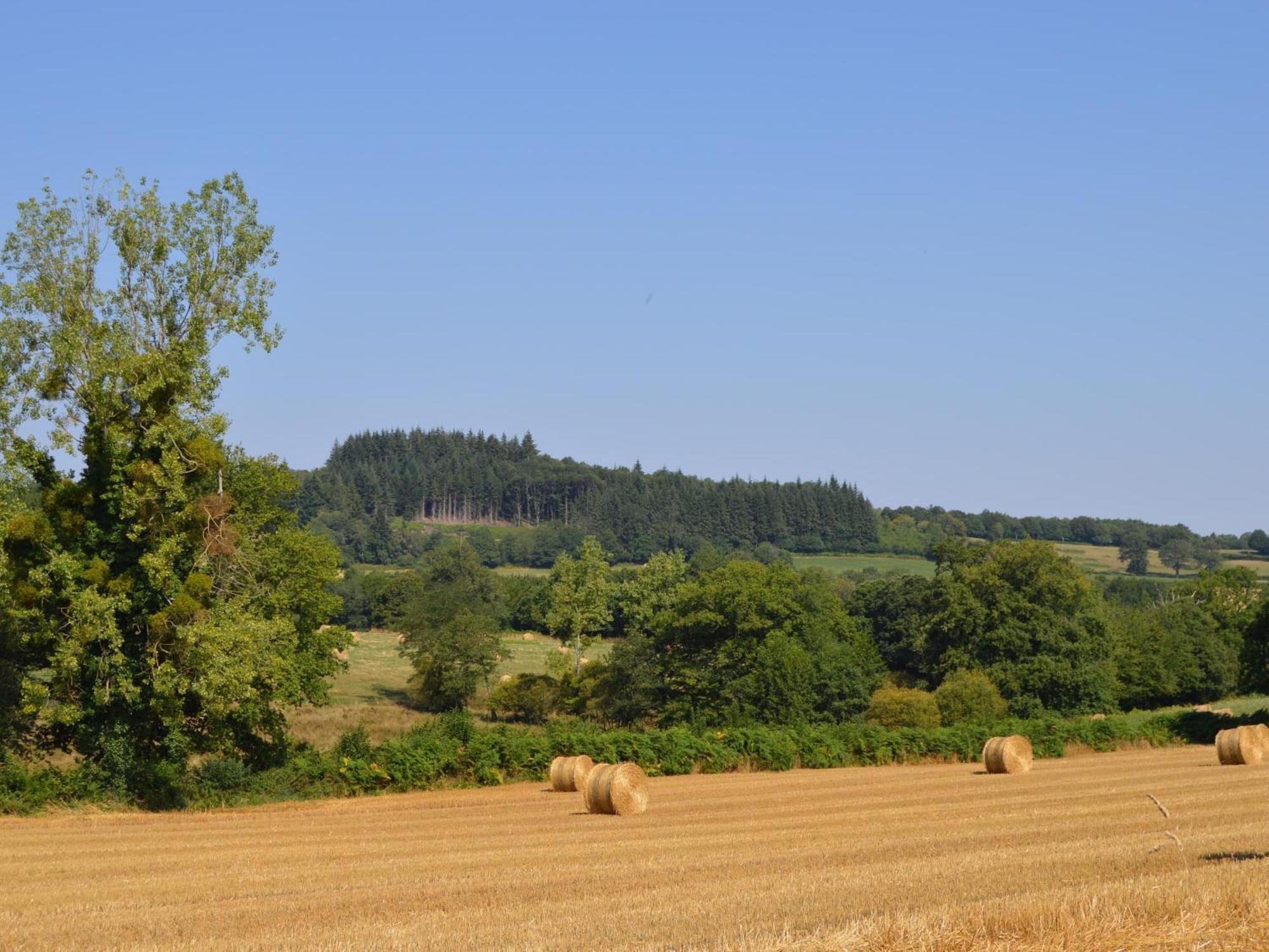 Grande Ferme Renovee Avec Jardin Et Loisirs A Proximite - Fr-1-591-155 Villa Pouligny-Notre-Dame Eksteriør billede